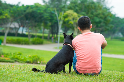 Back view of an owner sitting on the green lawn with his black dog